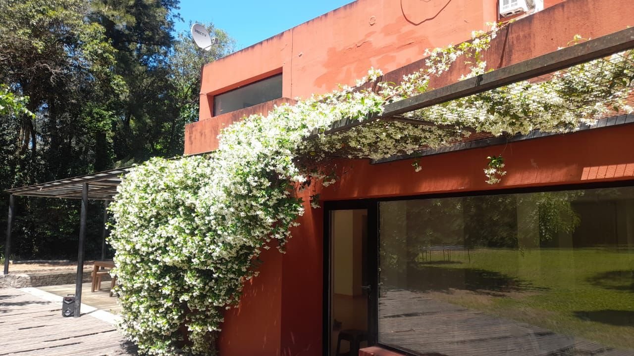 WhatsApp Image 2026-03-26 at 10.30.22